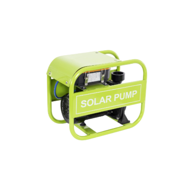 Pool & Surface Pumps